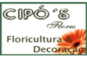 Floricultura Cipos - Colatina